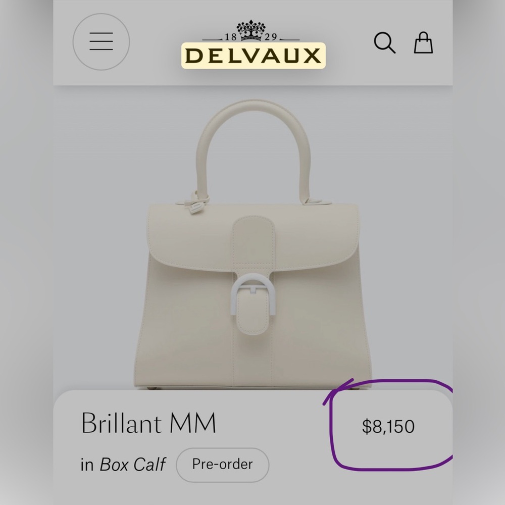 New $8,500 Delvaux Brilliant MM Box Calf Leather Rare Lilac Color Handbag - Picture 3 of 16